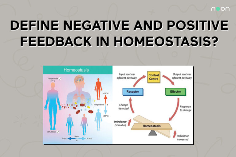 Understanding Negative And Positive Feedback In Homeo vrogue.co