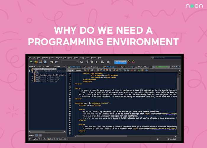 programming environment