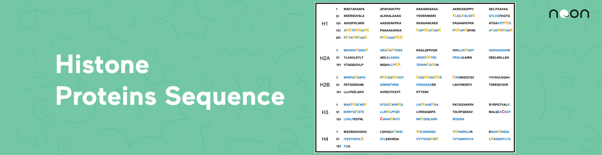 Histone Proteins Sequence