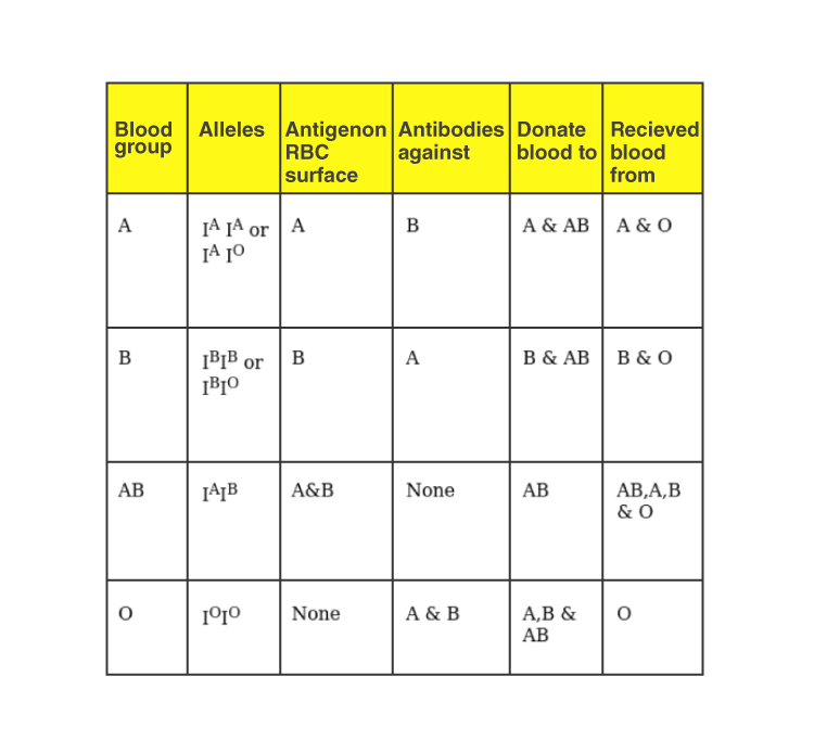 40-explain-different-types-of-blood-groups-and-donor-compatibility-by