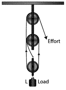 A pulley system has a velocity ratio 3. Draw a diagram showing the ...