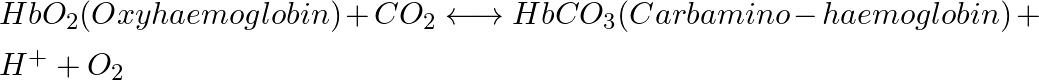 Hb{{O}_{2}}(Oxyhaemoglobin)+C{{O}_{2}}\underset{{}}{\overset{{}}{\longleftrightarrow}}HbC{{O}_{3}}(Carbamino-haemoglobin)+{{H}^{+}}+{{O}_{2}}