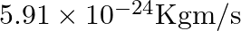 5.91 \times 10^{-24} \mathrm{Kg} \mathrm{m} / \mathrm{s}