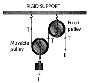 The diagram alongside shows a pulley arrangement. - Noon Academy