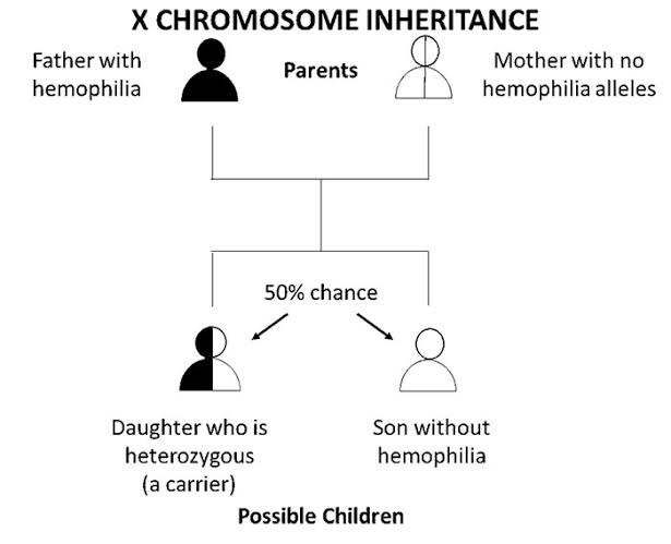 world-haemophilia-day-2022-history-theme-and-about-haemophilia-disease